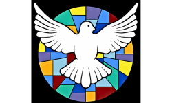 Untitled (250 x 150 px)